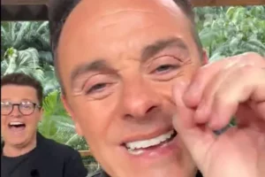 Ant Live